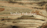 Yoshio Yokobori